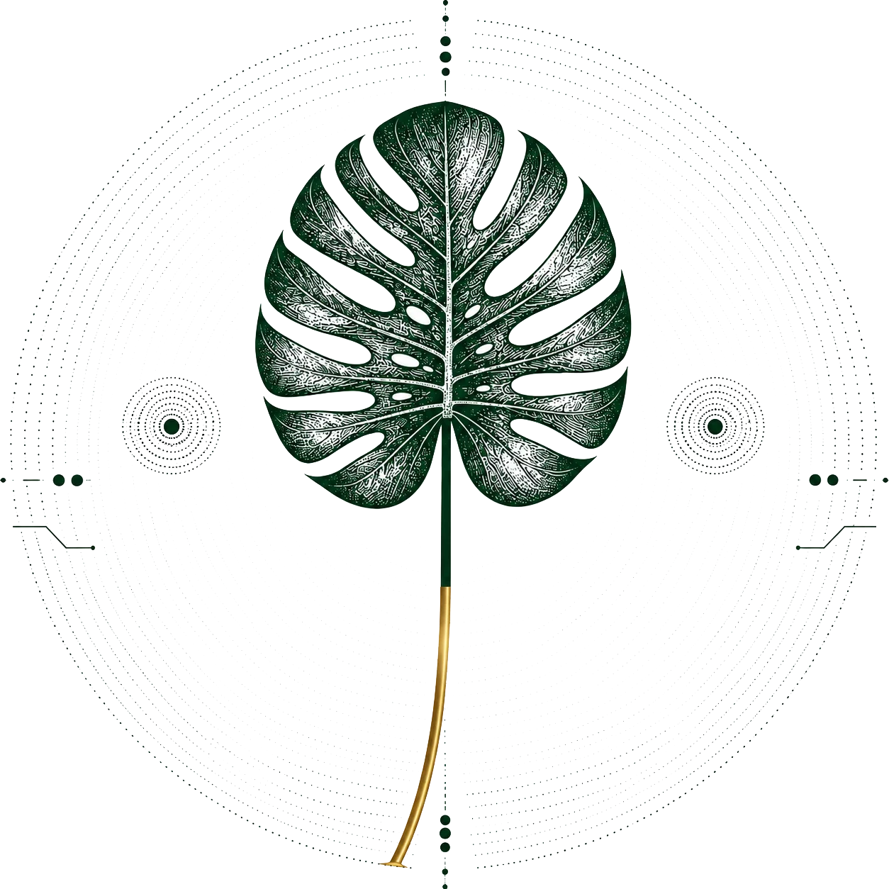Botanical illustration
